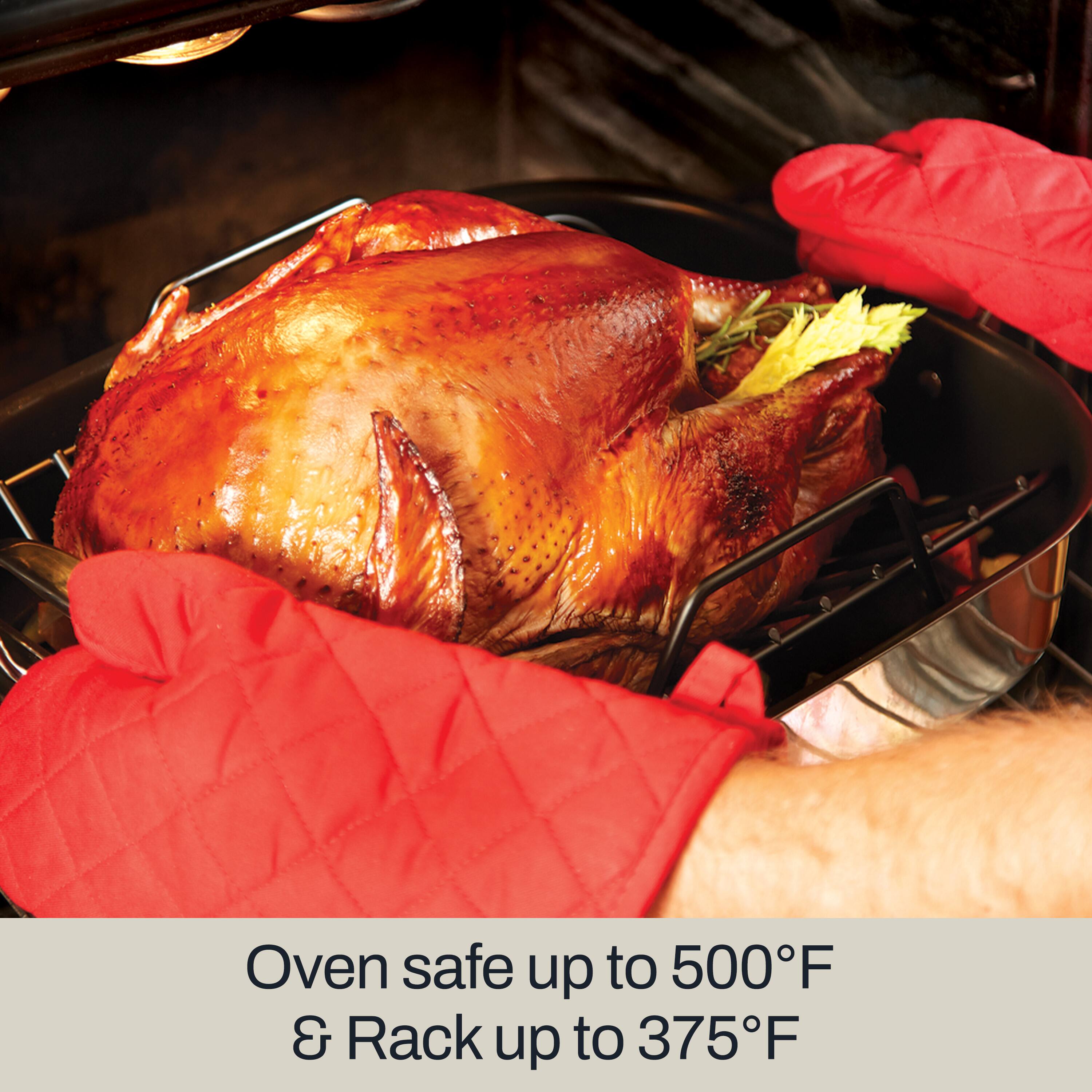 Oven safe up to 500°F & Rack up to 375°F