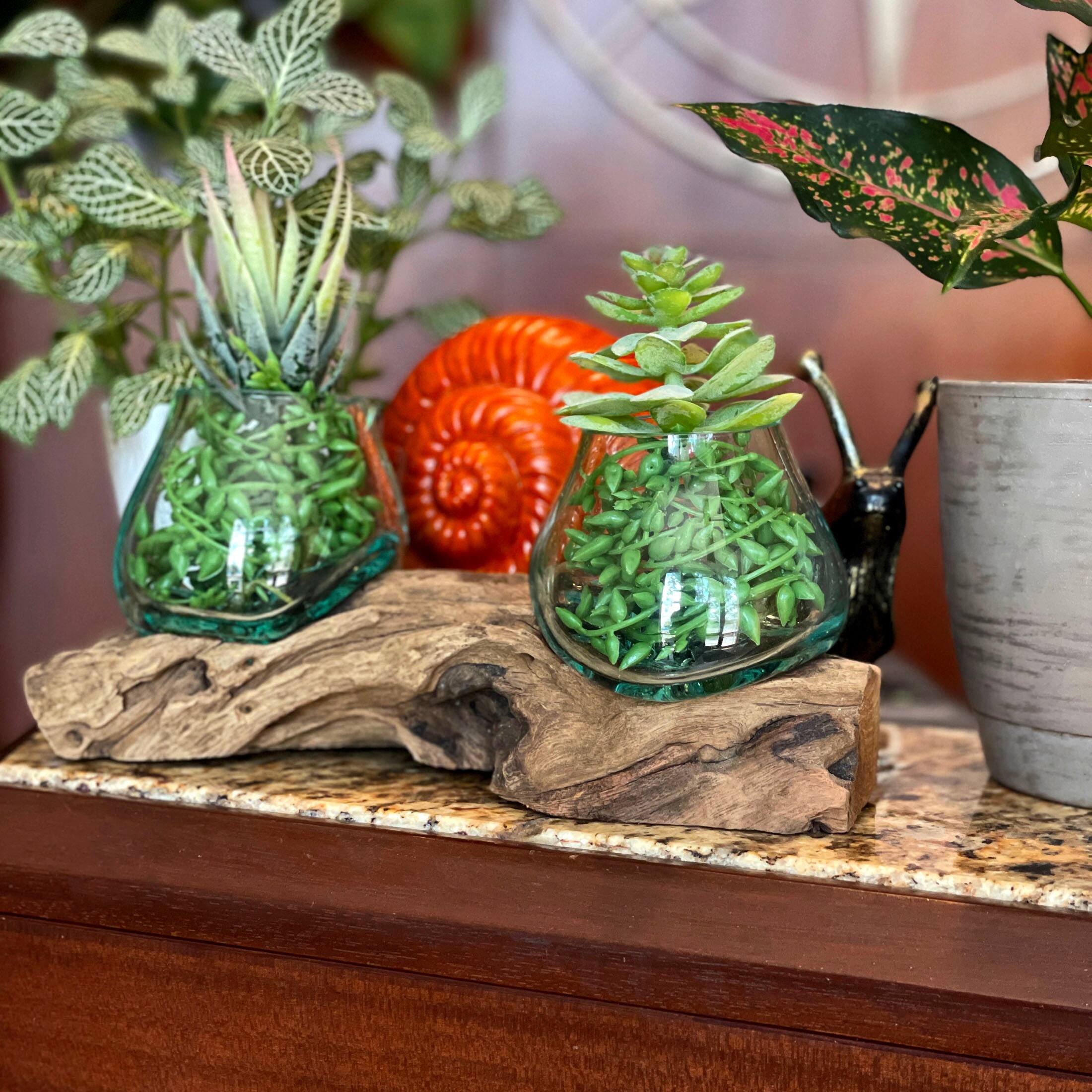 Alt View 3. Things2Die4 - 10.5" Double Molten Glass Bowls on Driftwood Hand Blown Planter Terrarium Decor - Natural.