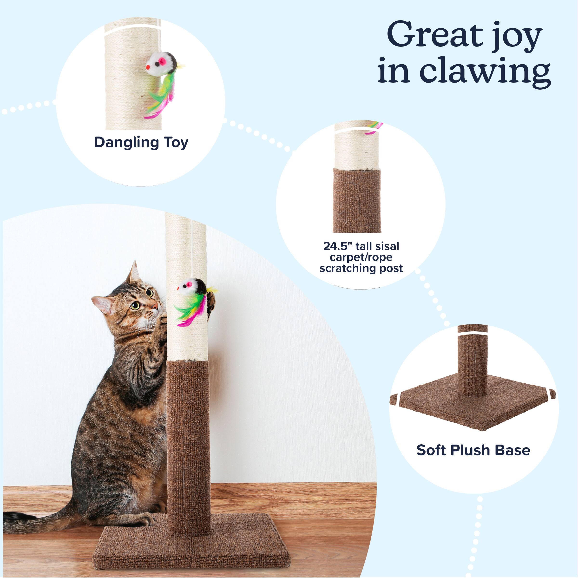 Great joy in clawing  
Dangling Toy  
24.5" tall sisal carpet/rope scratching post  
Soft Plush Base