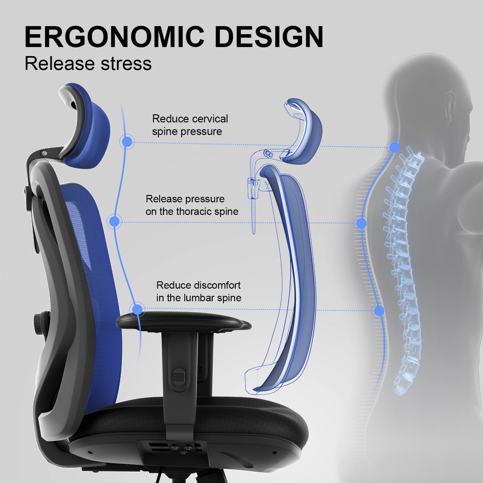 ERGONOMIC DESIGN  
Release stress  
Reduce cervical spine pressure  
Release pressure on the thoracic spine  
Reduce discomfort in the lumbar spine