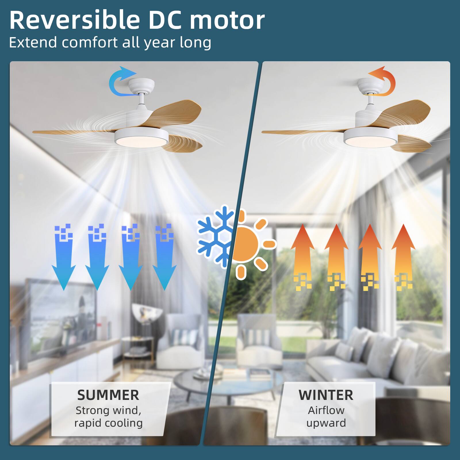 Reversible DC motor  
Extend comfort all year long  

SUMMER  
Strong wind, rapid cooling  

WINTER  
Airflow upward