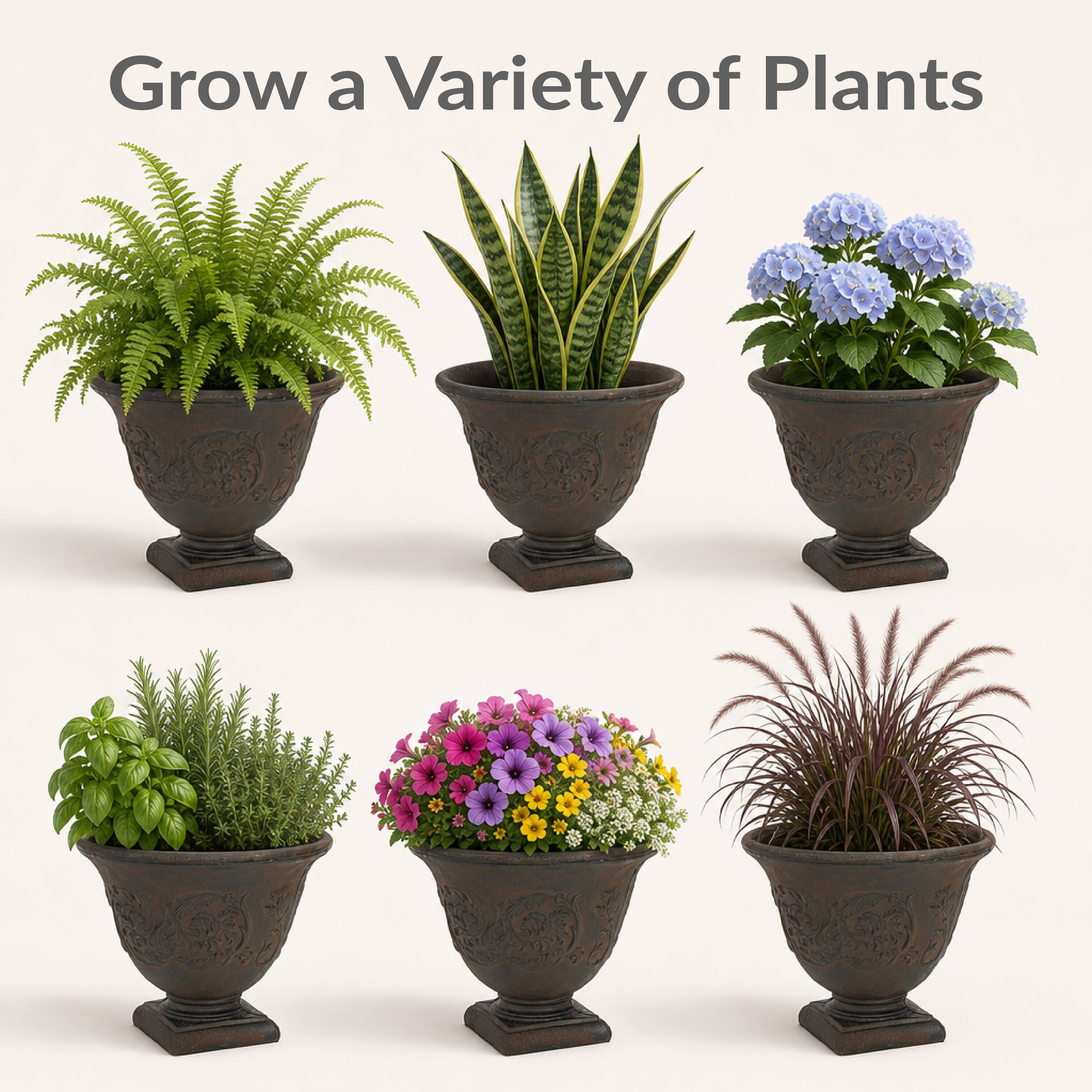 Grow a Variety of Plants