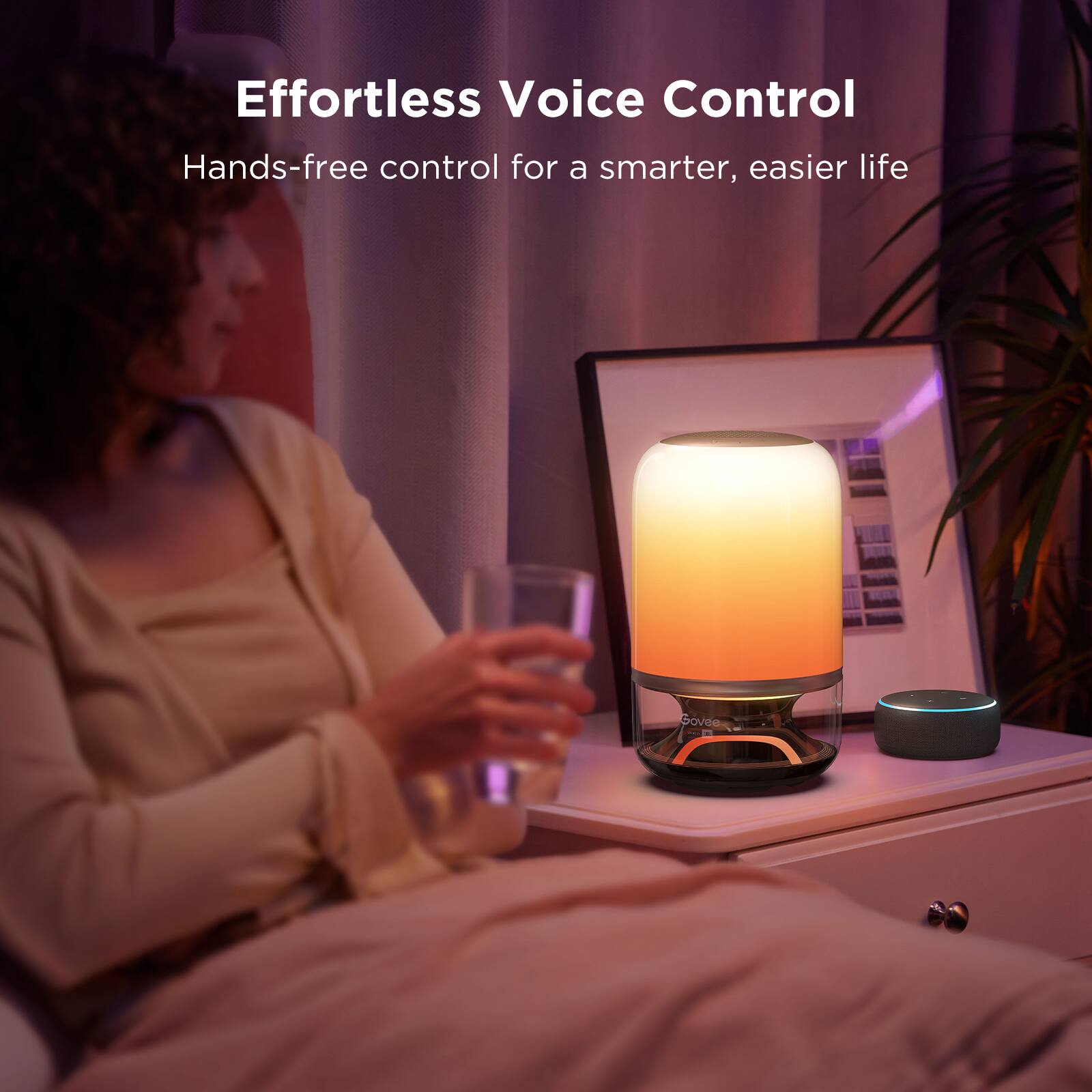 Effortless Voice Control  
Hands-free control for a smarter, easier life