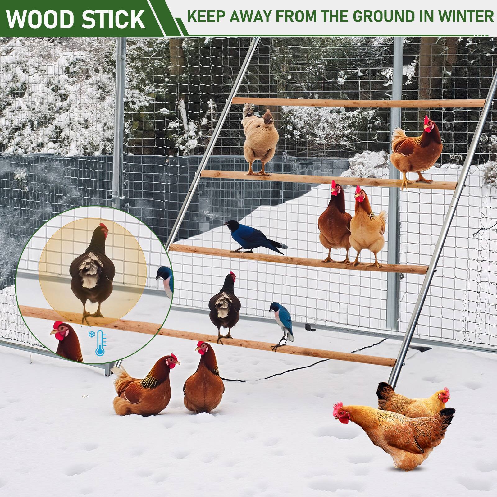WOOD STICK  
KEEP AWAY FROM THE GROUND IN WINTER