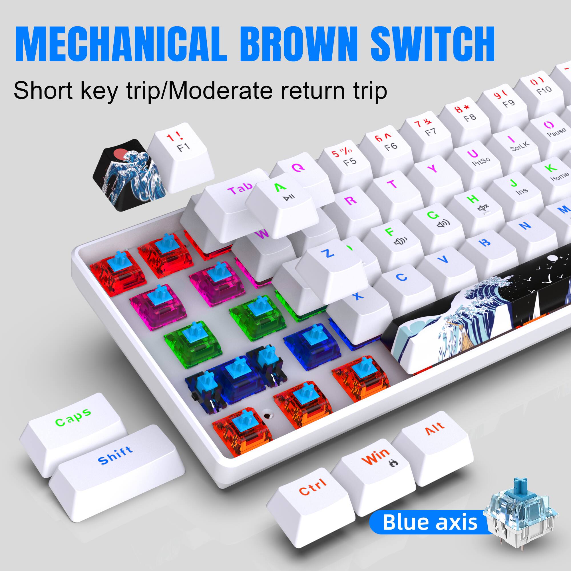 MECHANICAL BROWN SWITCH  
Short key trip/Moderate return trip  

Blue axis