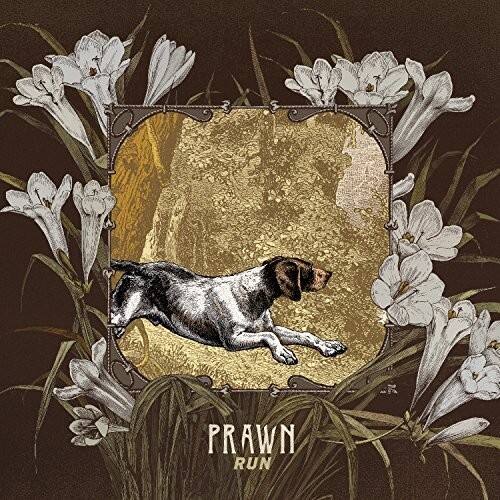 Prawn - Run   - COMPACT DISCS [CD] price history on PriceWatchPro