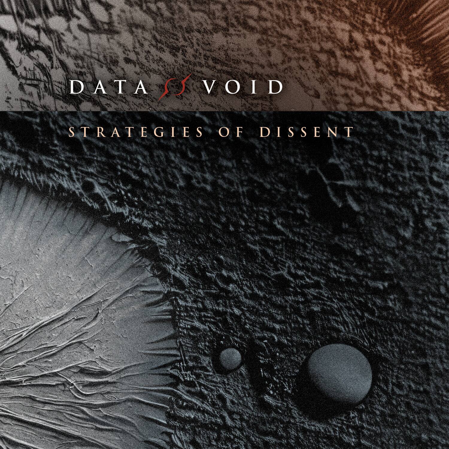 DATA VOID  
STRATEGIES OF DISSENT