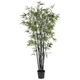 BreeBe - 6.5' Black Bamboo Tree w/1752 Lvs - Green