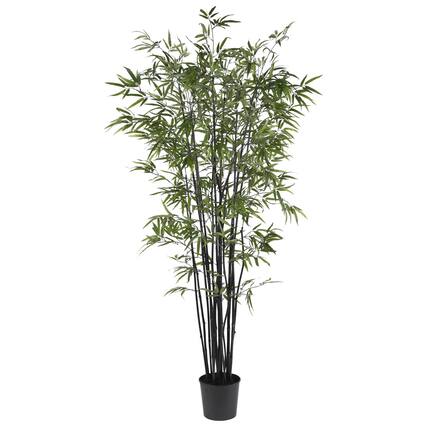 Front. BreeBe - 6.5' Black Bamboo Tree w/1752 Lvs - Green.