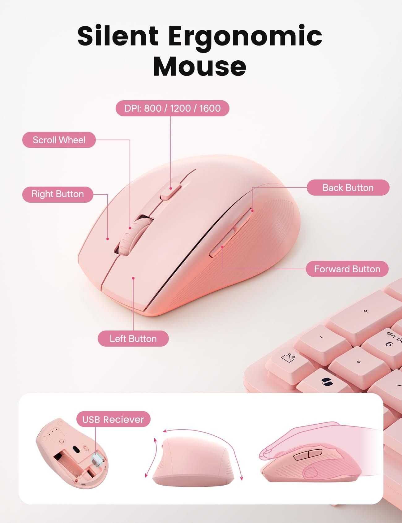Silent Ergonomic Mouse  
DPI: 800 / 1200 / 1600  
Scroll Wheel  
Right Button  
Back Button  
Forward Button  
Left Button  

USB Receiver