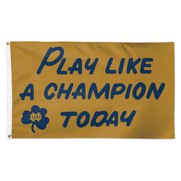 Fanatics Unlabeled - Notre Dame Fighting Irish Deluxe Play Like A Champion 3' x 5' Flag - Multicolor