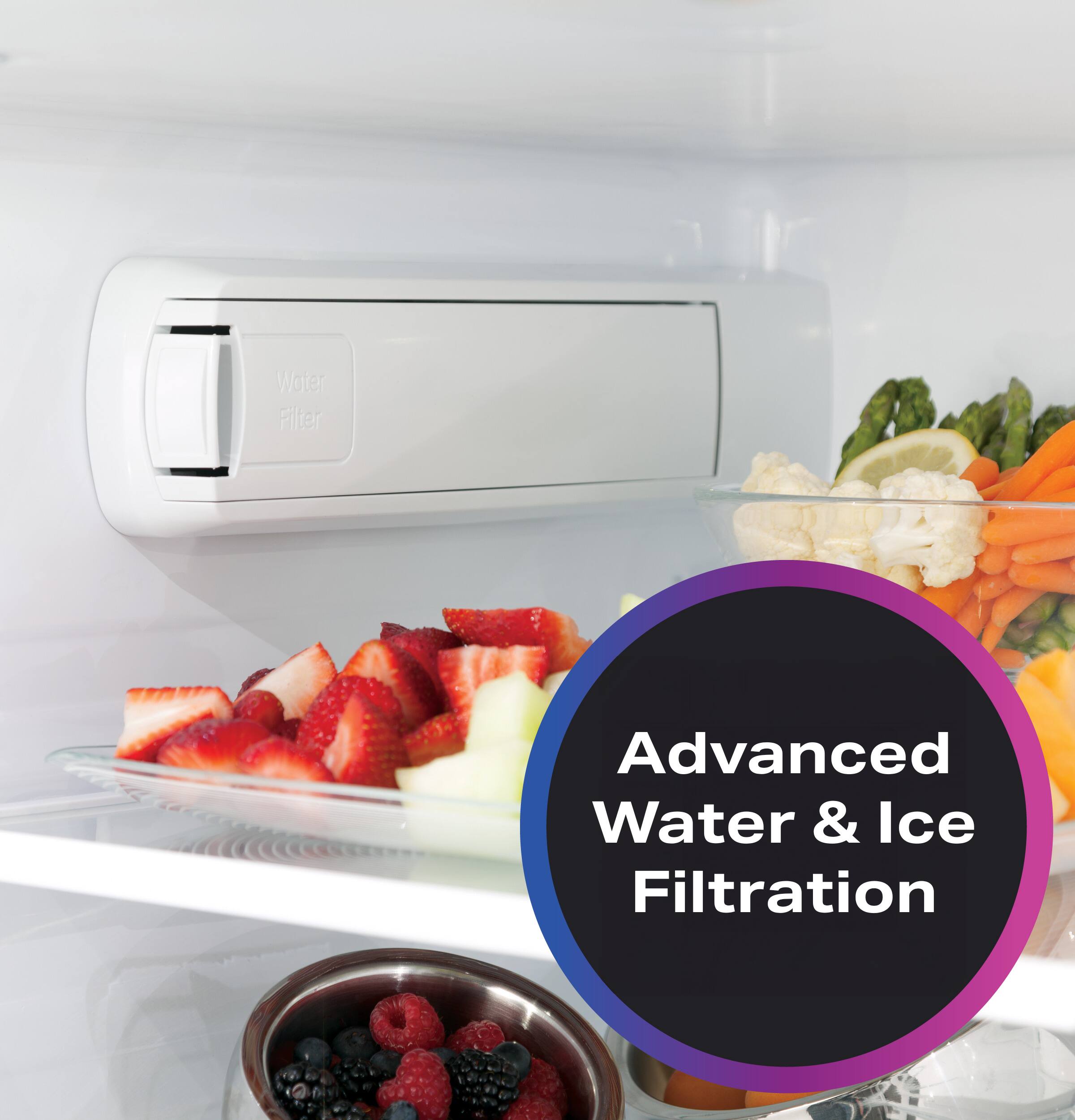 Water Fiter Advanced Water & Ice Filtration