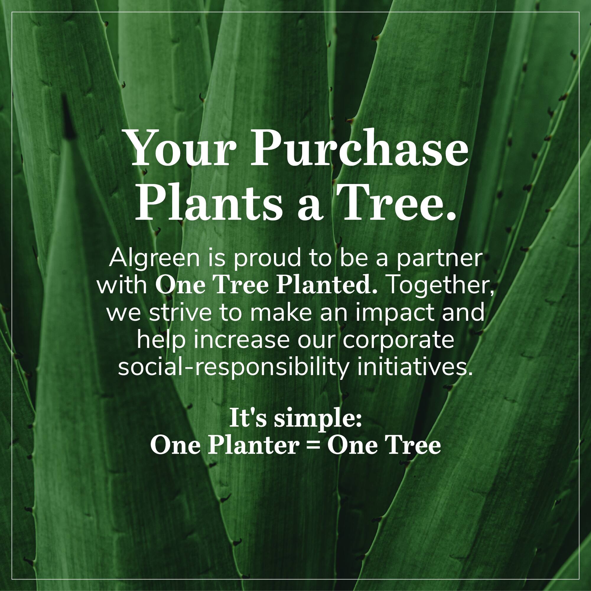 Your Purchase Plants a Tree.  
Algreen is proud to be a partner with One Tree Planted. Together, we strive to make an impact and help increase our corporate social-responsibility initiatives.  
It's simple: One Planter = One Tree