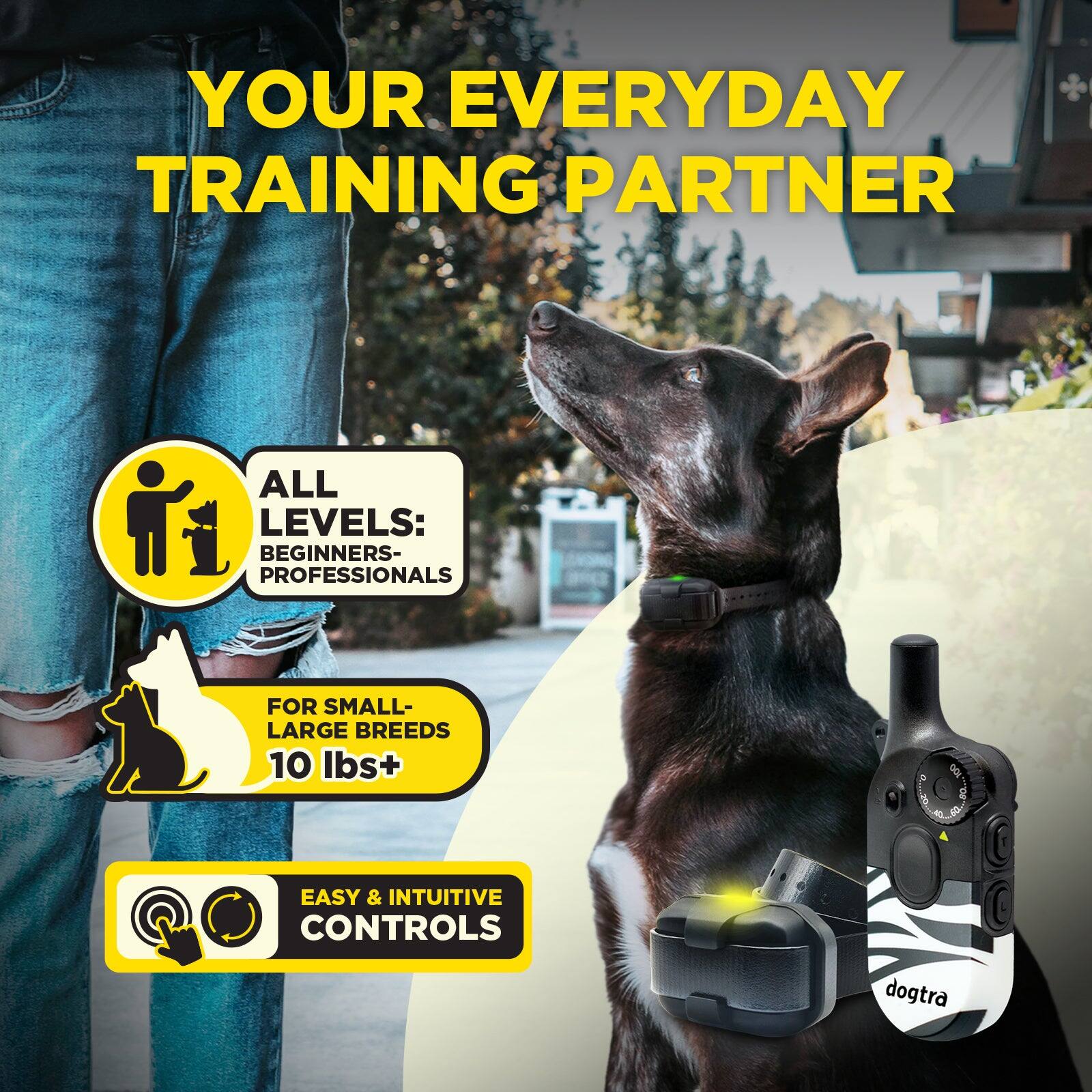 YOUR EVERYDAY TRAINING PARTNER

ALL LEVELS: BEGINNERS- PROFESSIONALS

FOR SMALL- LARGE BREEDS 10 lbs+

EASY & INTUITIVE CONTROLS

dogtra