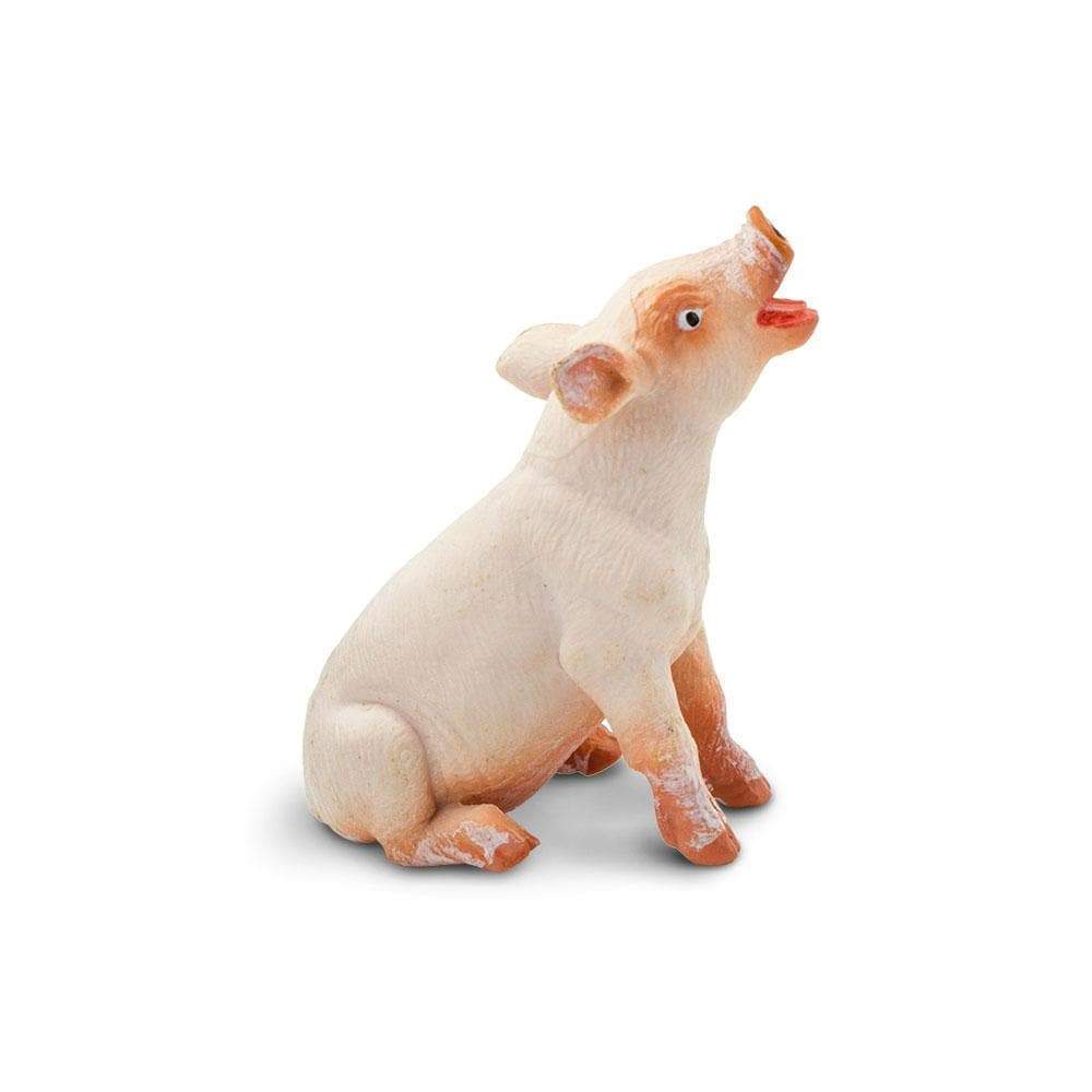 Angle. Safari Ltd. - Sitting Piglet.