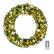 Front. Winado - 48in Christmas Pre-lit Artificial Wreath with LED Lights, DIY Ornaments for Indoor Outdoor Holiday Party Decoration - Light Green.