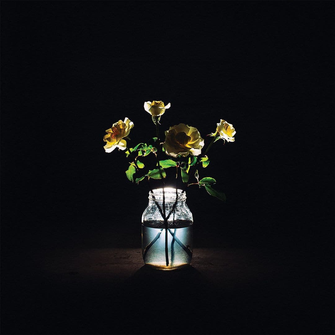 Renewal [LP] - VINYL