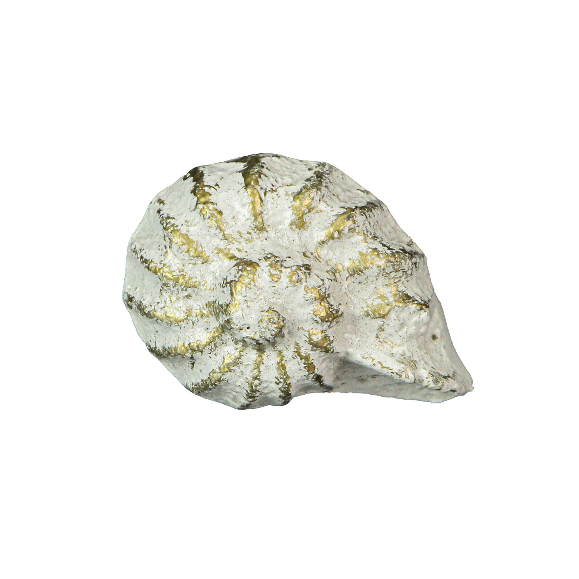 Front. Zeckos - White Cast Iron Nautilus Shell Drawer Pull Decorative Cabinet Knob Set of 6 - White.
