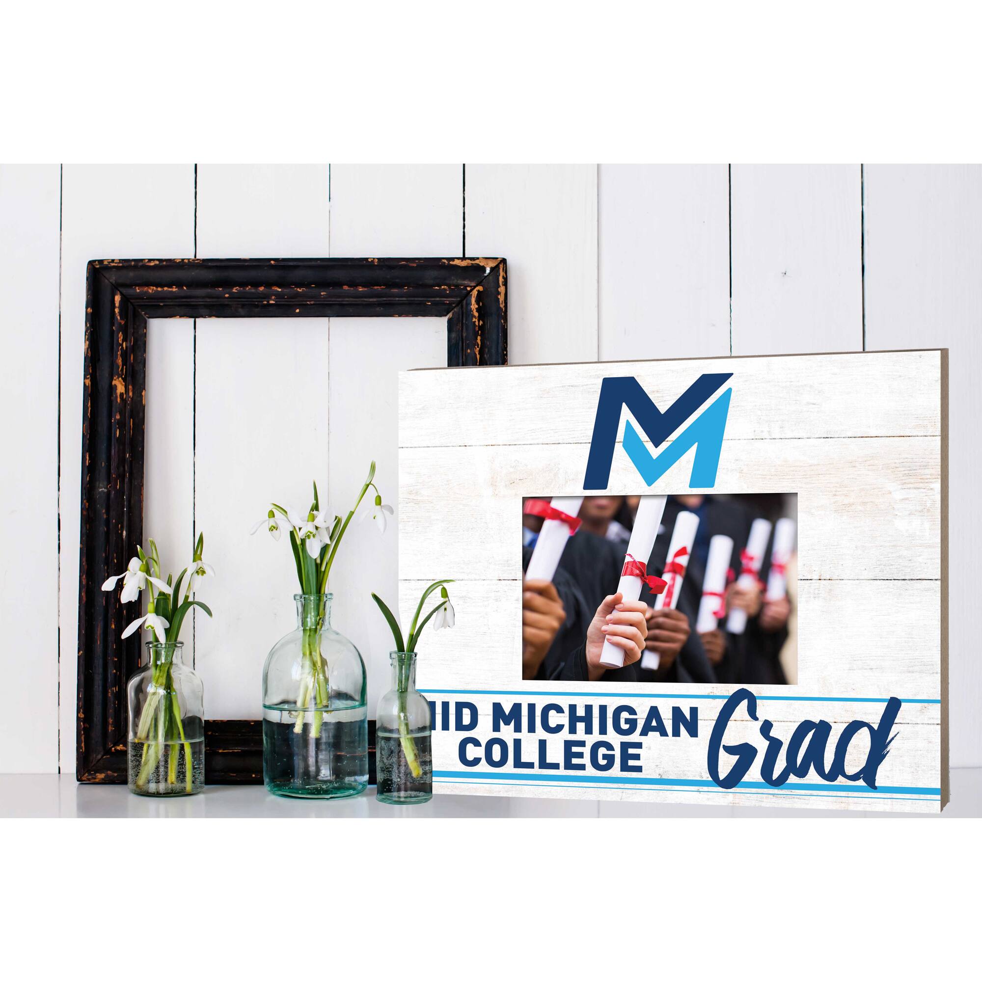 M: ID MICHIGAN COLLEGE Grad