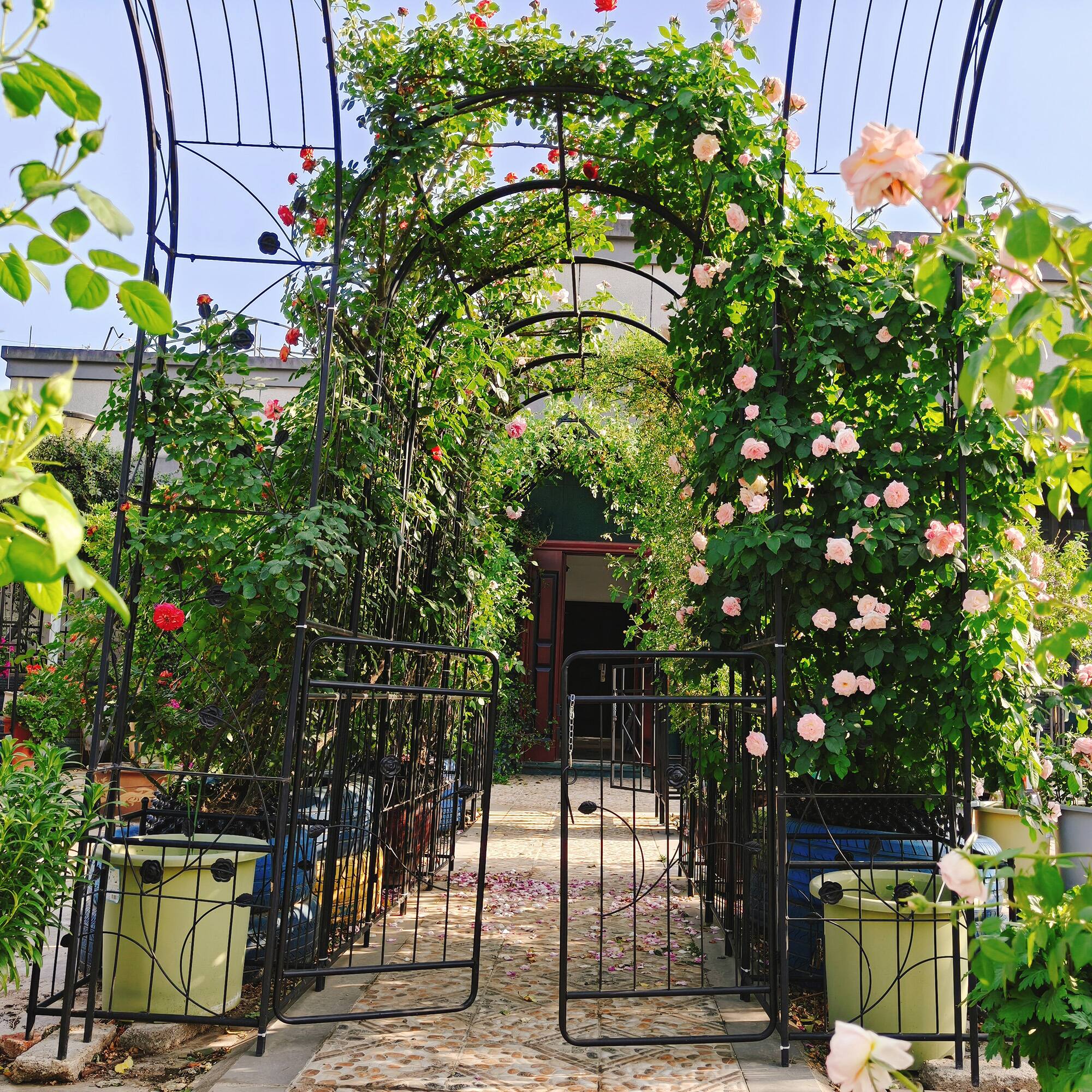 Alt View 4. Loheer - Metal Garden Arch with Gate for Climbing Plants Outdoor Rose Arch Trellis - Black.