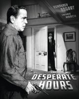 The Desperate Hours [Blu-ray] [1955] - Front_Zoom