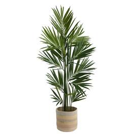 BreeBe - 7' Kentia Palm in Handmade Natural Cotton Planter - Green