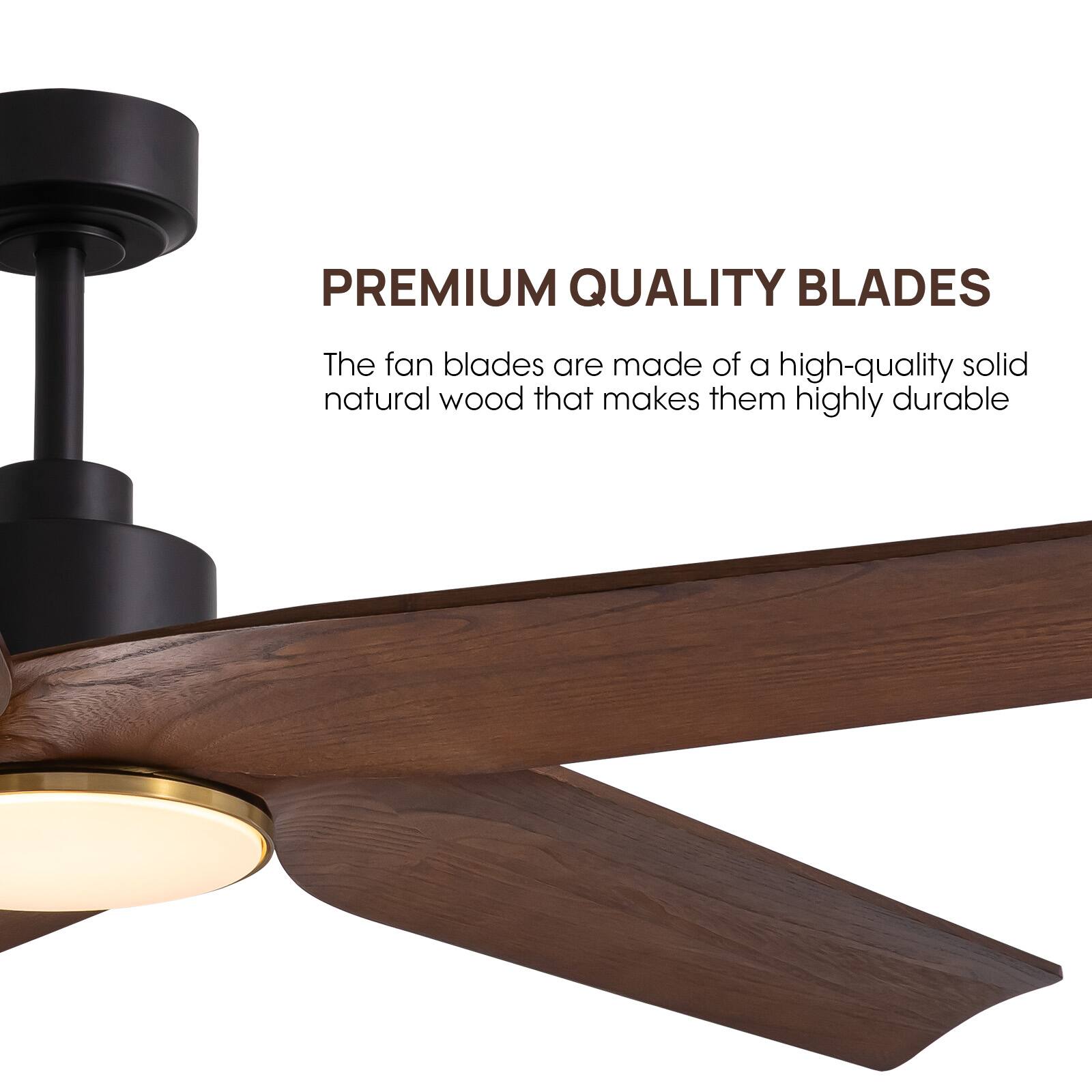 PREMIUM QUALITY BLADES

The fan blades are made of a high-quality solid natural wood that makes them highly durable