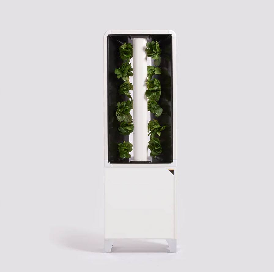 Just Vertical - EVE Tower Garden | Hydroponic Growing System | Grow Fresh Herbs & Vegetables Year-Round | Fully Assembled - Flat White price history on PriceWatchPro