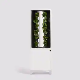 Just Vertical - EVE Tower Garden | Hydroponic Growing System | Grow Fresh Herbs & Vegetables Year-Round | Fully Assembled - Flat White