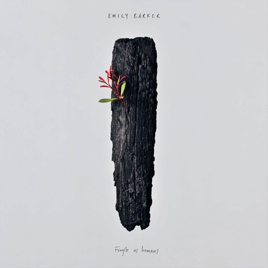 Fragile as Humans [LP] [VINYL] price history on PriceWatchPro
