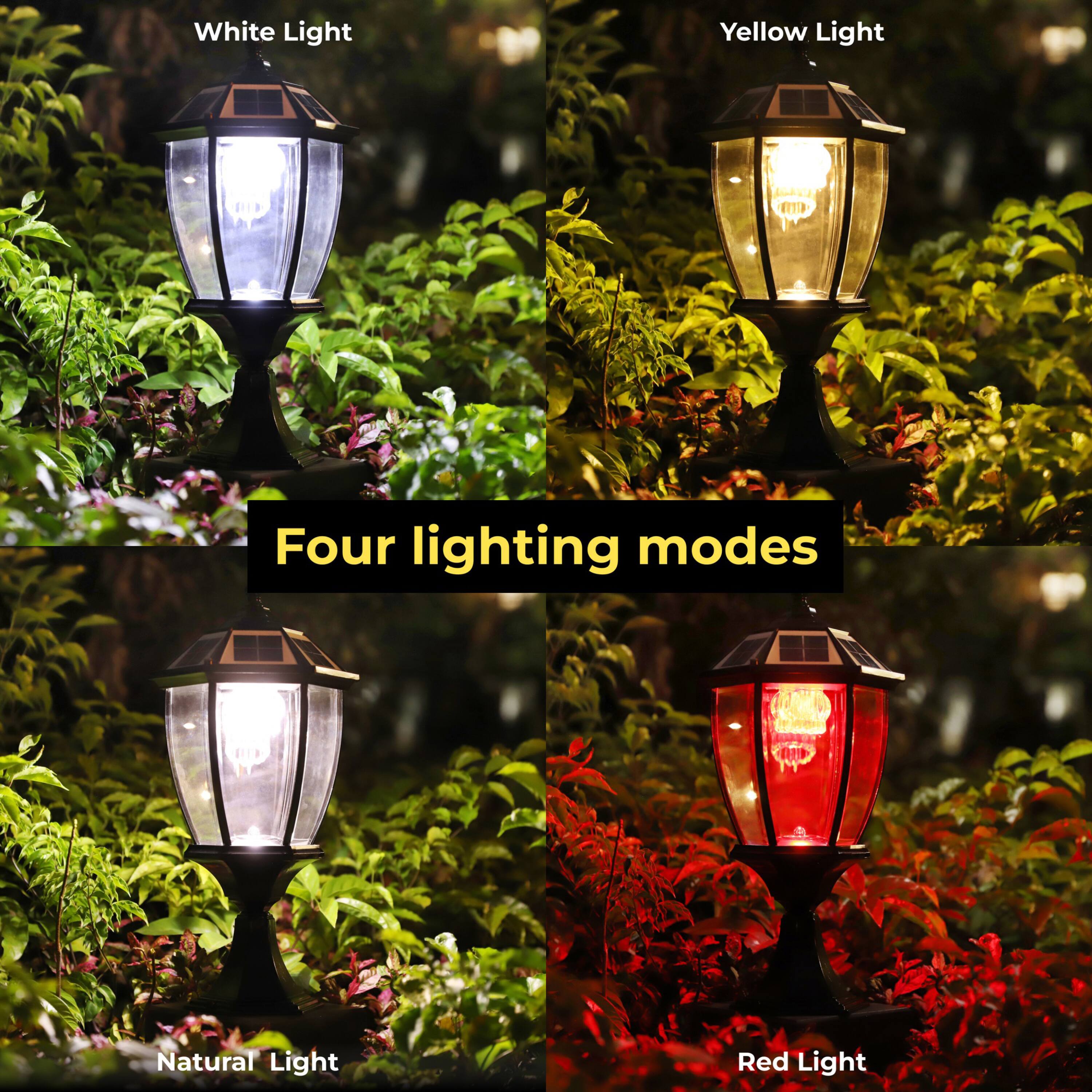 White Light, Yellow Light, Natural Light, Red Light