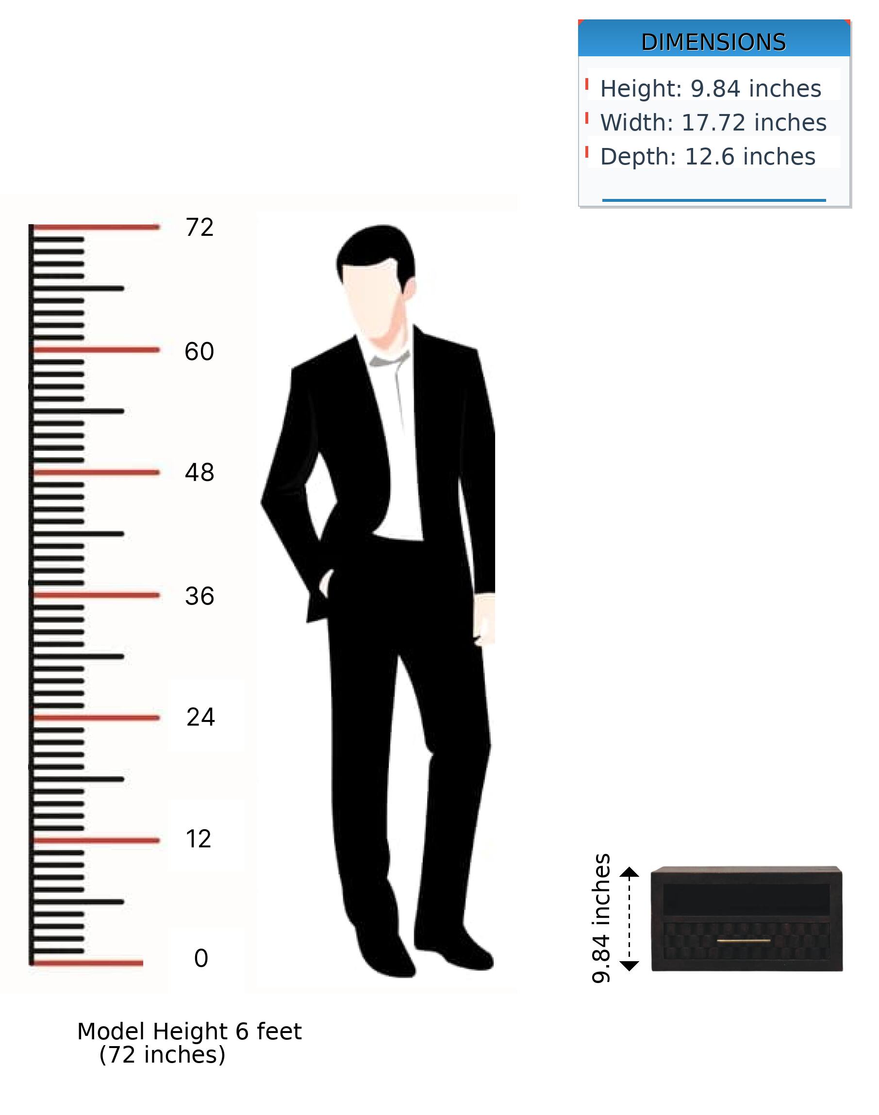 DIMENSIONS  
Height: 9.84 inches  
Width: 17.72 inches  
Depth: 12.6 inches  

Model Height 6 feet (72 inches)