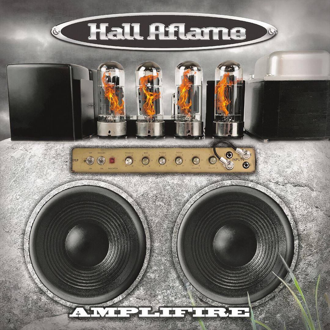 Amplifire [LP] [VINYL] price history on PriceWatchPro
