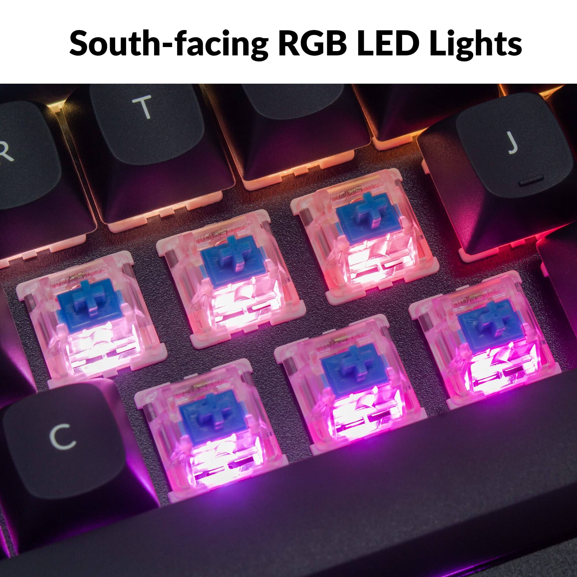 South-facing RGB LED Lights