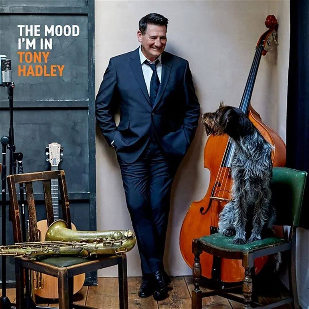 The Mood I'm In [Blue Vinyl] [LP] price history on PriceWatchPro
