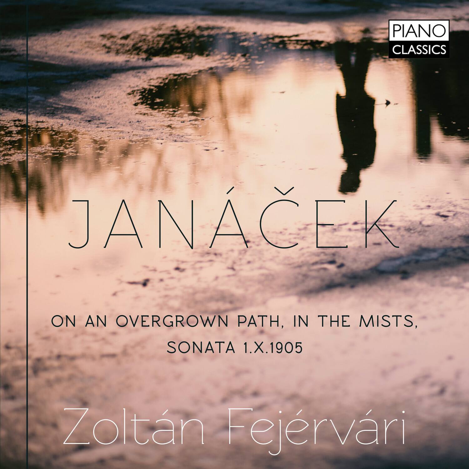 Janacek / Fejervari - On An Overgrown Path   - COMPACT DISCS [CD] price history on PriceWatchPro