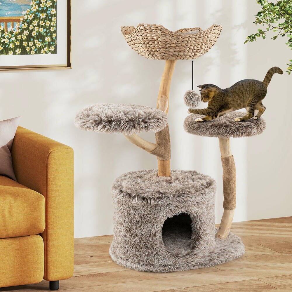 Back. Kadyn - Solid Pear Wood Cat Tree with Perch and Sisal Scratching Posts, Brown - Brown.