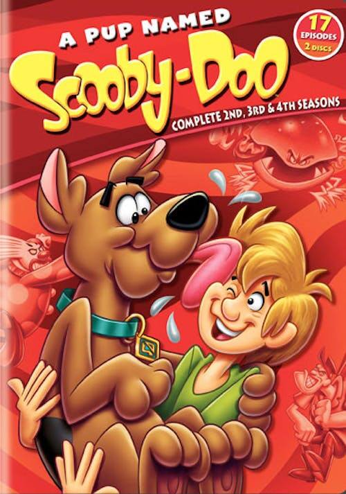 A Pup Named Scooby-Doo: Seasons 2-4 [DVD] [Standard]