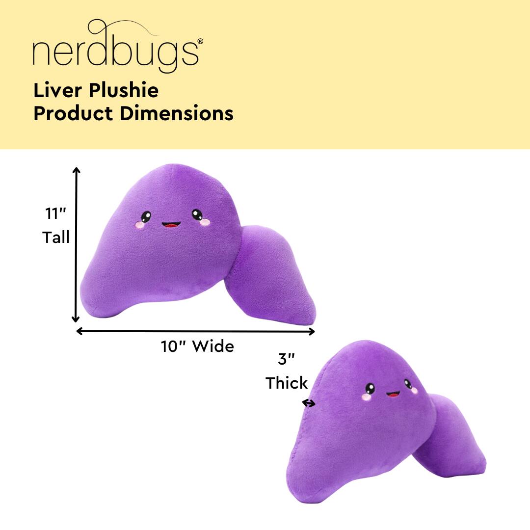 nerdbugs®  
Liver Plushie  
Product Dimensions  

11" Tall  
10" Wide  
3" Thick