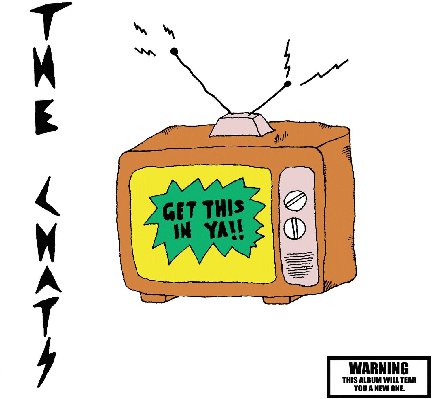 THE  
GET THIS IN YA!!  
WARNING  
THIS ALBUM WILL TEAR YOU A NEW ONE.