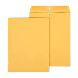 Staples - Clasp & Moistenable Glue #12.5 Kraft Catalog Envelopes, 9.5" x 12.5", 100/Box - Brown