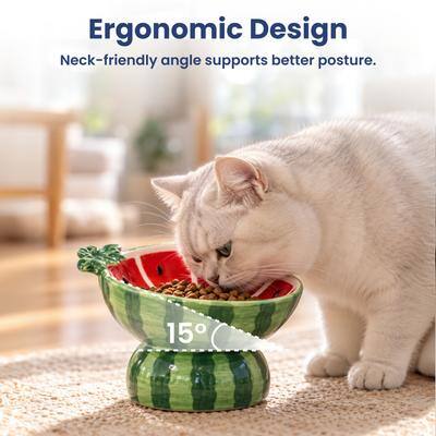 Ergonomic Design  
Neck-friendly angle supports better posture.  
15°
