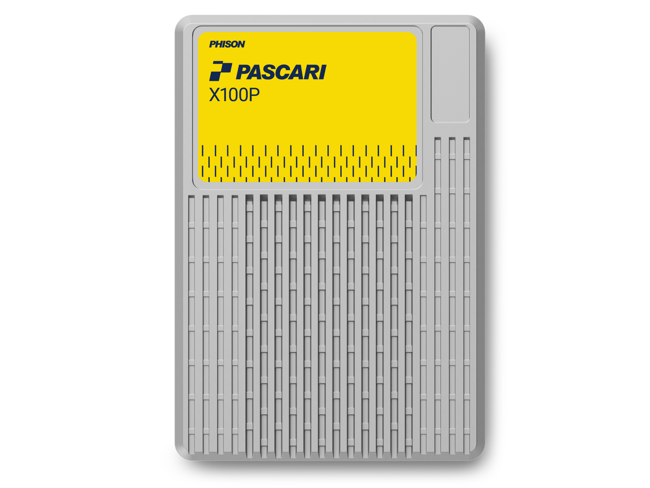 PHISON  
PASCARI  
X100P