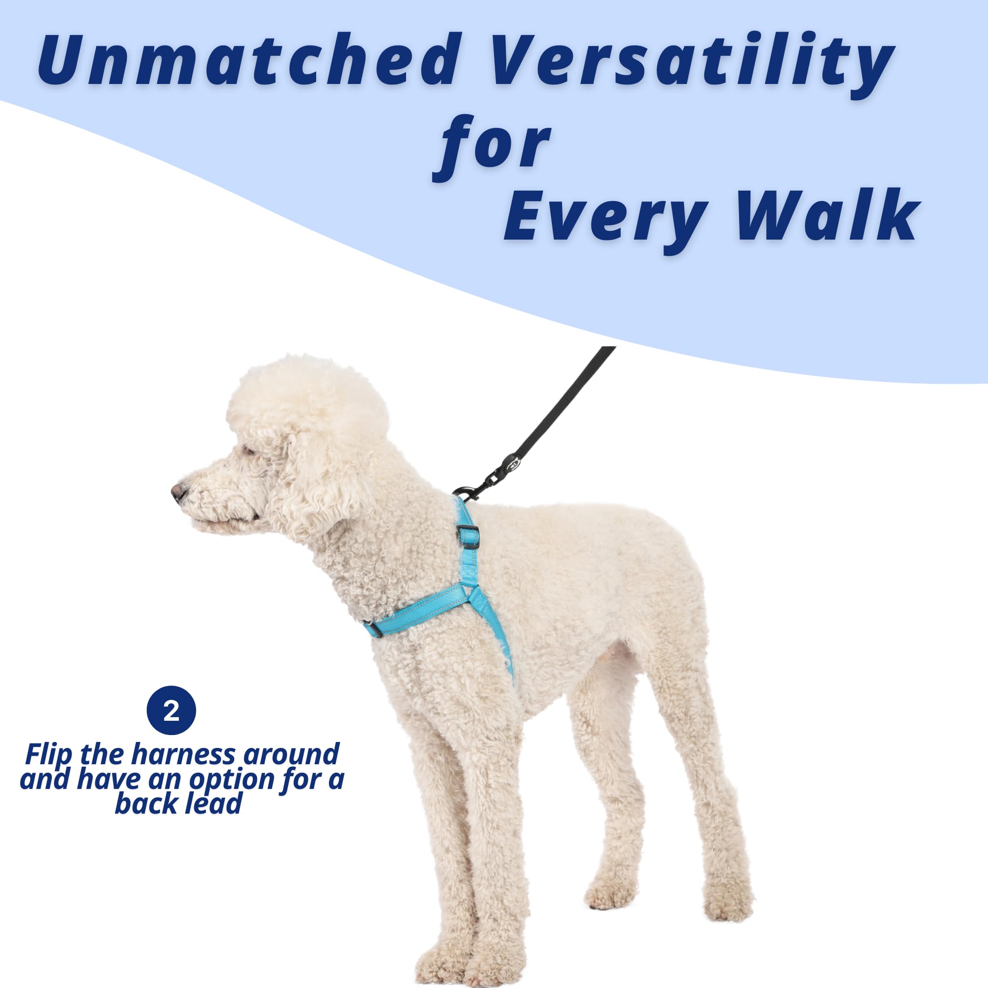 Unmatched Versatility for Every Walk

Flip the harness around and have an option for a back lead