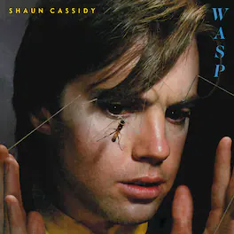Shaun Cassidy - WASP - VINYL LP