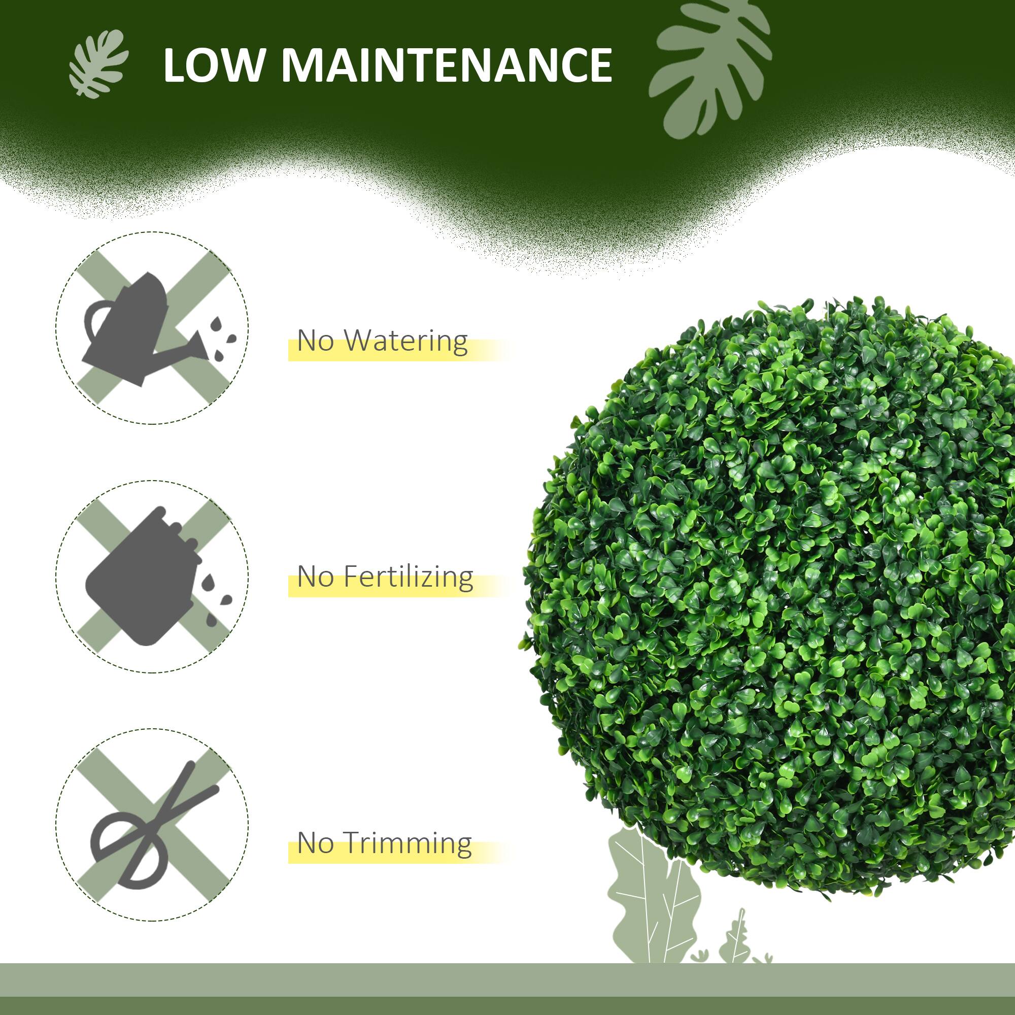 LOW MAINTENANCE
No Watering
No Fertilizing
No Trimming