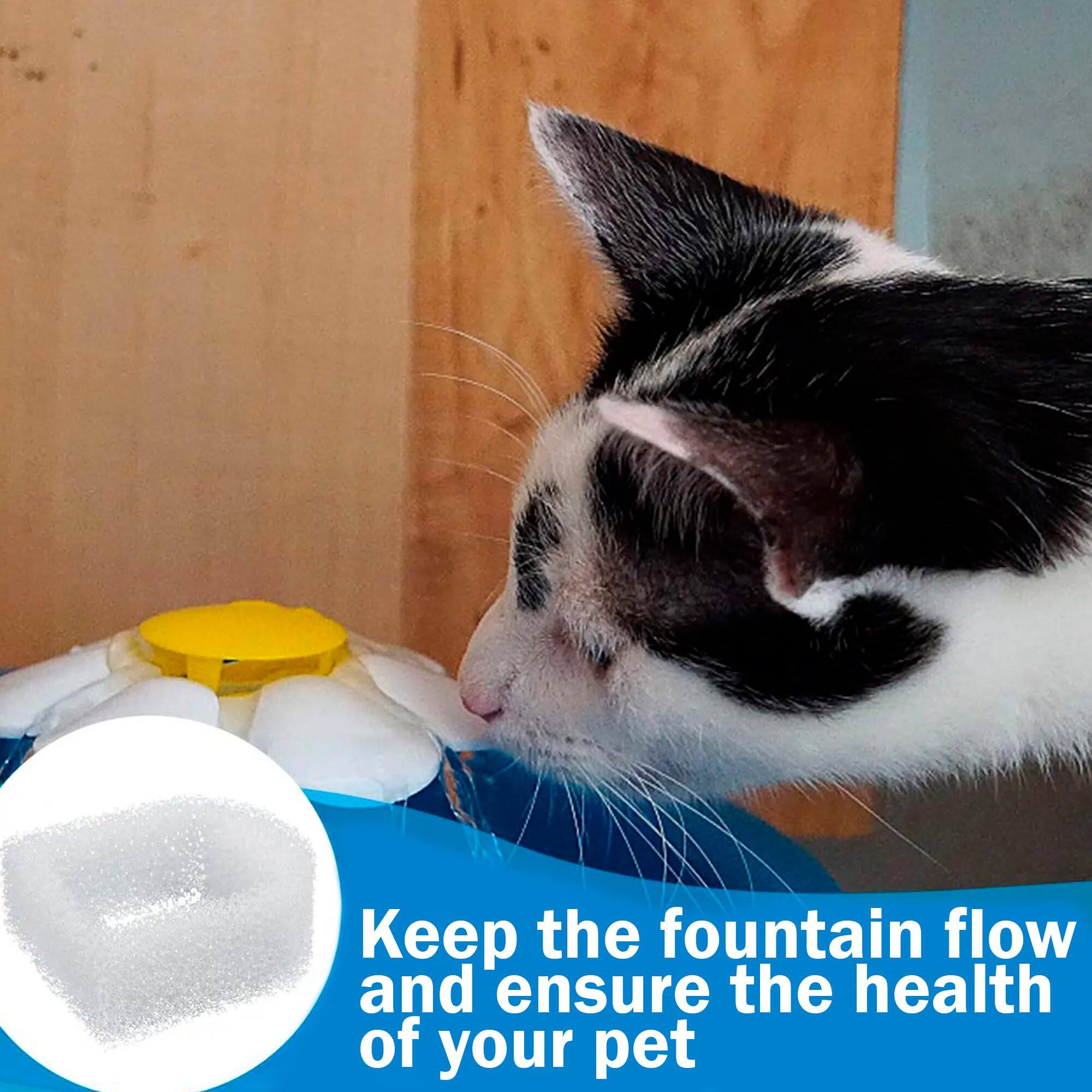 Keep the fountain flow and ensure the health of your pet