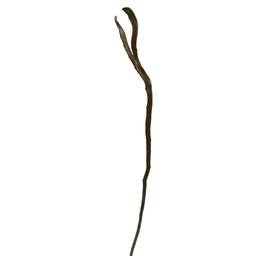 BreeBe - 28'' Artificial Branch (Set of 12) - Brown