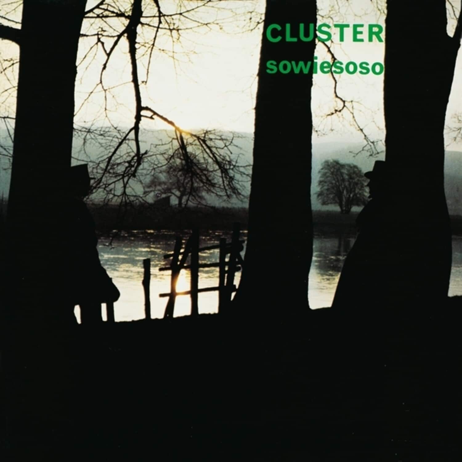 Cluster - Sowiesoso (50th Anniversary Edition)   - VINYL LP price history on PriceWatchPro