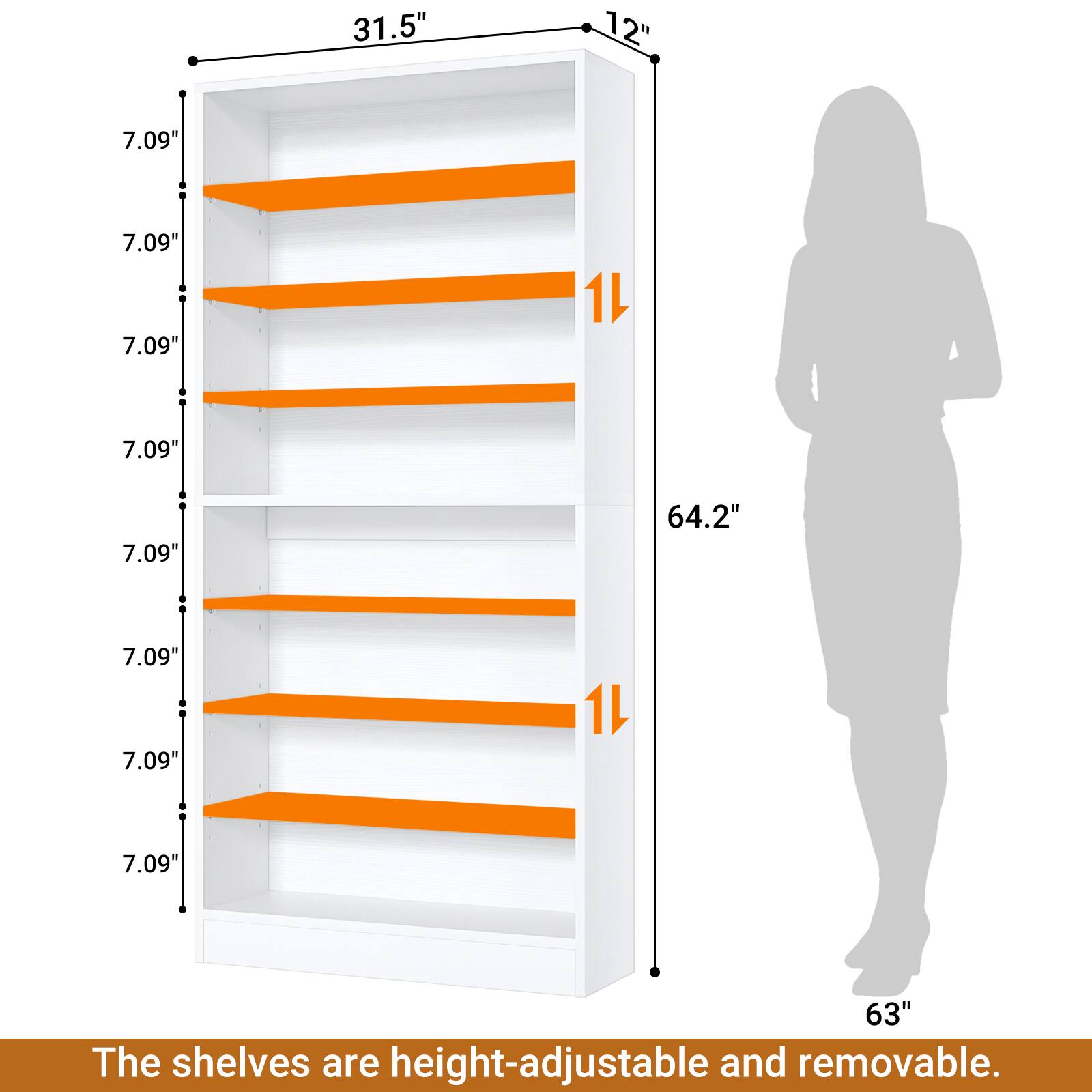 31.5" 12" 7.09" 7.09" 7.09" 1L 7.09" 7.09" 64.2" 7.09" 7.09" 1L 7.09" 63" The shelves are height-adjustable and removable.
